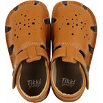 Tikki Aranya Mosterd