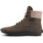Leguano Icebare Bruin