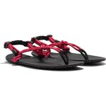 Xero Shoes Genesis - men Rood