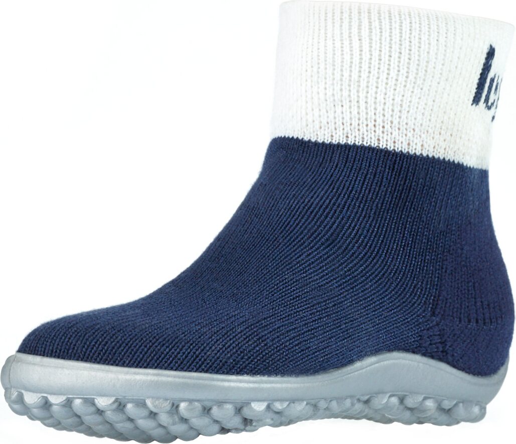 Leguano Leguanito Sinine