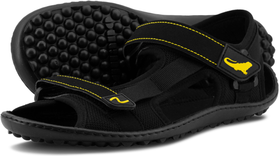 Leguano Attrekktive Μαύρο