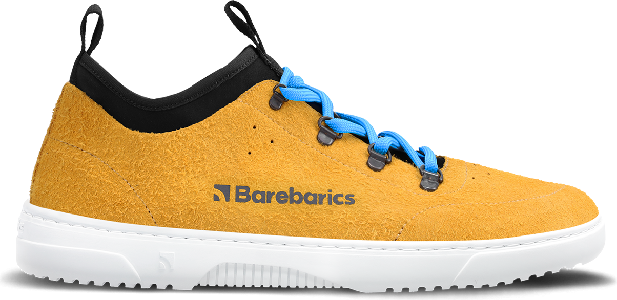 Barebarics Bronx マスタード