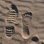 Vibram FiveFingers V-ALPHA men's