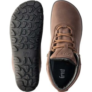 Freet Ibex (LIMITED AVAILABILITY)