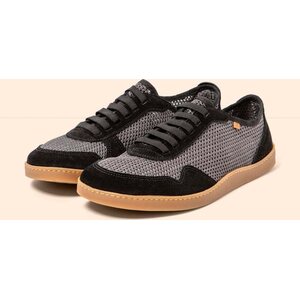 El Naturalista Origen