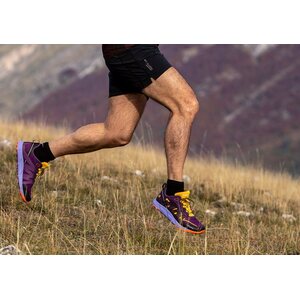 Joe Nimble Trail Addict heren